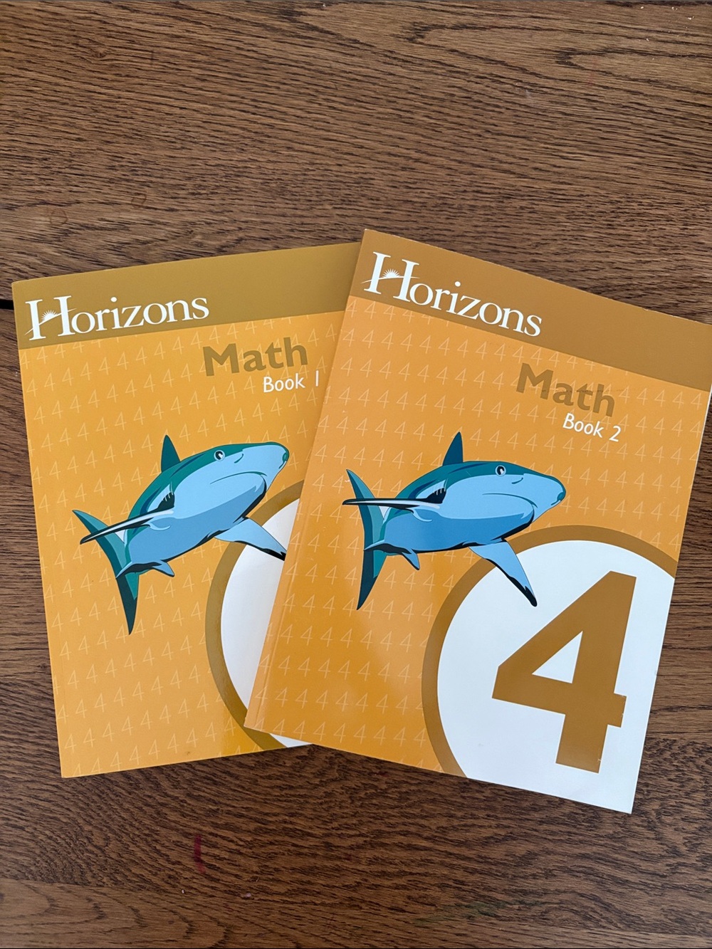 NEW Horizons Math Book 1 & 2 Grade 4 Student Workbook Homeschool